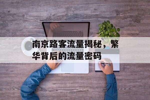 南京路客流量揭秘，繁华背后的流量密码