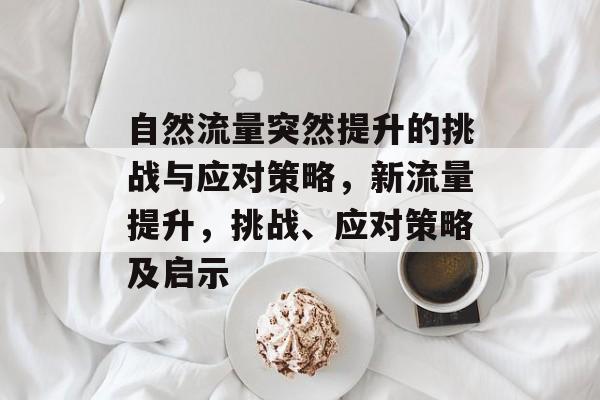 自然流量突然提升的挑战与应对策略,新流量提升,挑战、应对策略及启示 自然流量突然提升的挑战与应对策略,新流量提升,挑战、应对策略及启示