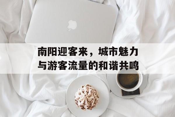 南阳迎客来,城市魅力与游客流量的和谐共鸣 南阳迎客来,城市魅力与游客流量的和谐共鸣