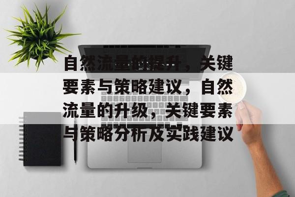 自然流量的提升，关键要素与策略建议，自然流量的升级，关键要素与策略分析及实践建议