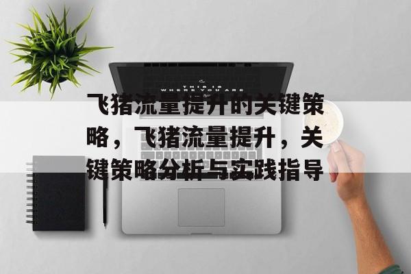 飞猪流量提升的关键策略，飞猪流量提升，关键策略分析与实践指导