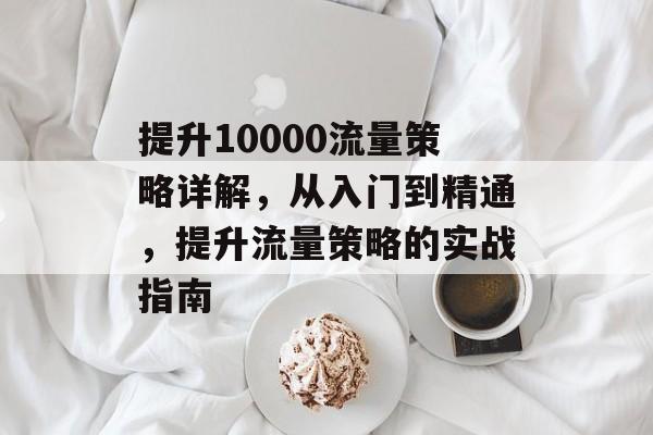 提升10000流量策略详解，从入门到精通，提升流量策略的实战指南