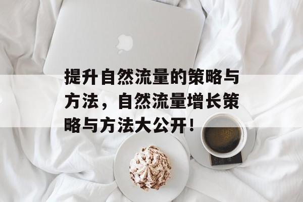提升自然流量的策略与方法,自然流量增长策略与方法大公开! 提升自然流量的策略与方法,自然流量增长策略与方法大公开!