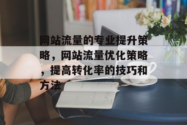 网站流量的专业提升策略，网站流量优化策略，提高转化率的技巧和方法