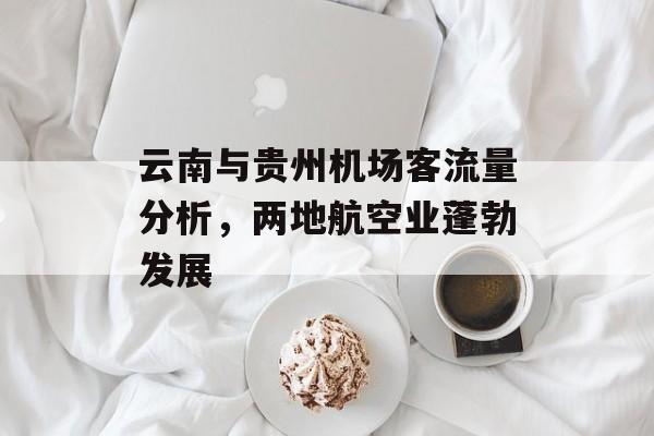 云南与贵州机场客流量分析,两地航空业蓬勃发展 云南与贵州机场客流量分析,两地航空业蓬勃发展
