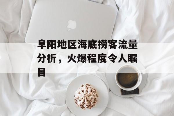 阜阳地区海底捞客流量分析,火爆程度令人瞩目 阜阳地区海底捞客流量分析,火爆程度令人瞩目