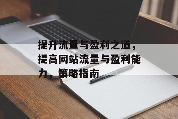 提升流量与盈利之道,提高网站流量与盈利能力,策略指南 提升流量与盈利之道,提高网站流量与盈利能力,策略指南