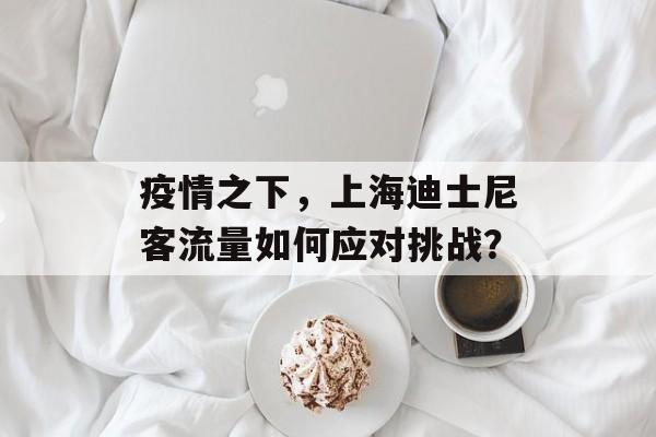 疫情之下,上海迪士尼客流量如何应对挑战? 疫情之下,上海迪士尼客流量如何应对挑战?