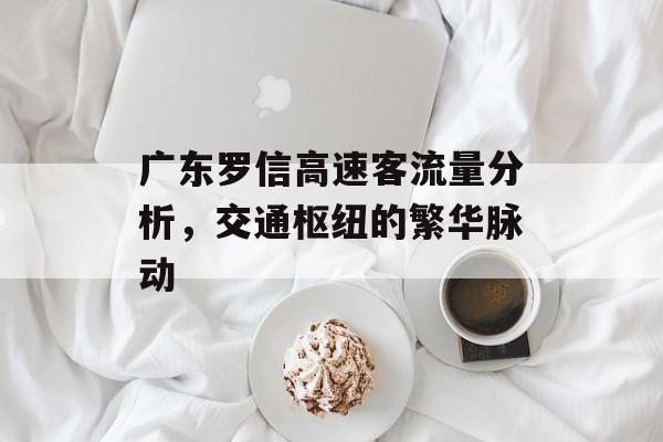 广东罗信高速客流量分析,交通枢纽的繁华脉动 广东罗信高速客流量分析,交通枢纽的繁华脉动