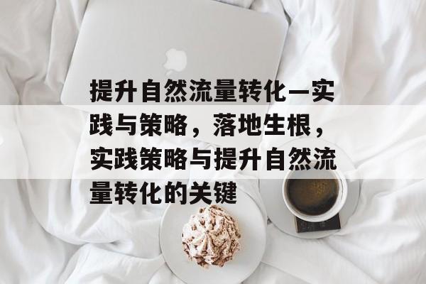 提升自然流量转化—实践与策略,落地生根,实践策略与提升自然流量转化的关键 提升自然流量转化—实践与策略,落地生根,实践策略与提升自然流量转化的关键