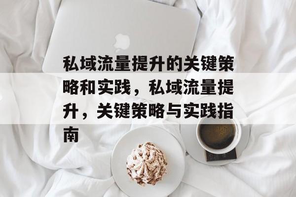 私域流量提升的关键策略和实践，私域流量提升，关键策略与实践指南