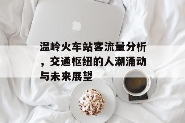 温岭火车站客流量分析,交通枢纽的人潮涌动与未来展望 温岭火车站客流量分析,交通枢纽的人潮涌动与未来展望