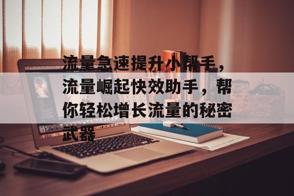 流量急速提升小帮手，流量崛起快效助手，帮你轻松增长流量的秘密武器