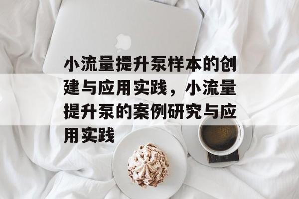 小流量提升泵样本的创建与应用实践,小流量提升泵的案例研究与应用实践 小流量提升泵样本的创建与应用实践,小流量提升泵的案例研究与应用实践
