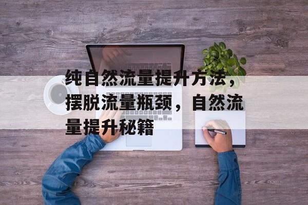 纯自然流量提升方法,摆脱流量瓶颈,自然流量提升秘籍 纯自然流量提升方法,摆脱流量瓶颈,自然流量提升秘籍
