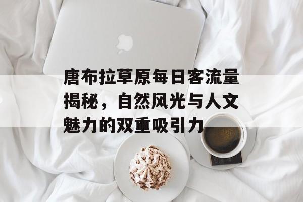 唐布拉草原每日客流量揭秘,自然风光与人文魅力的双重吸引力 唐布拉草原每日客流量揭秘,自然风光与人文魅力的双重吸引力