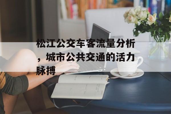 松江公交车客流量分析，城市公共交通的活力脉搏