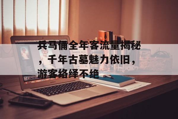 兵马俑全年客流量揭秘,千年古墓魅力依旧,游客络绎不绝 兵马俑全年客流量揭秘,千年古墓魅力依旧,游客络绎不绝