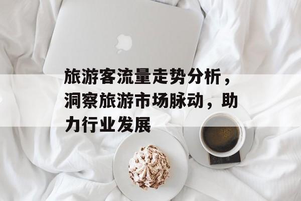 旅游客流量走势分析,洞察旅游市场脉动,助力行业发展 旅游客流量走势分析,洞察旅游市场脉动,助力行业发展