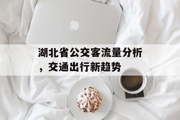 湖北省公交客流量分析,交通出行新趋势 湖北省公交客流量分析,交通出行新趋势