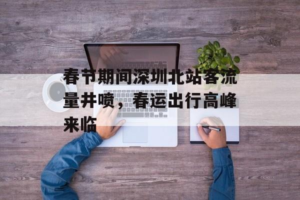 春节期间深圳北站客流量井喷，春运出行高峰来临