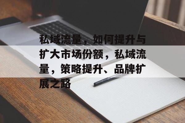 私域流量,如何提升与扩大市场份额,私域流量,策略提升、品牌扩展之路 私域流量,如何提升与扩大市场份额,私域流量,策略提升、品牌扩展之路