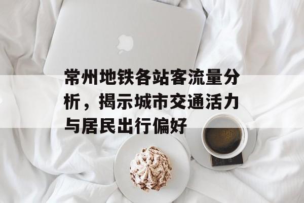 常州地铁各站客流量分析,揭示城市交通活力与居民出行偏好 常州地铁各站客流量分析,揭示城市交通活力与居民出行偏好