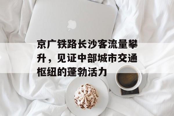 京广铁路长沙客流量攀升,见证中部城市交通枢纽的蓬勃活力 京广铁路长沙客流量攀升,见证中部城市交通枢纽的蓬勃活力