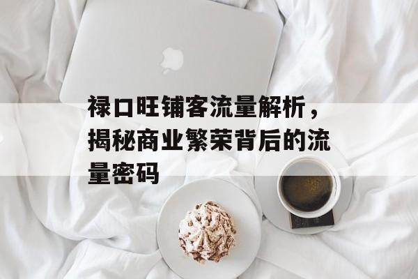 禄口旺铺客流量解析，揭秘商业繁荣背后的流量密码