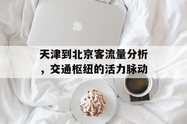 天津到北京客流量分析,交通枢纽的活力脉动 天津到北京客流量分析,交通枢纽的活力脉动