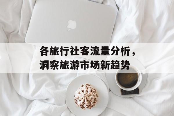 各旅行社客流量分析,洞察旅游市场新趋势 各旅行社客流量分析,洞察旅游市场新趋势