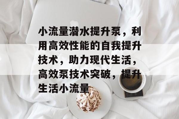 小流量潜水提升泵，利用高效性能的自我提升技术，助力现代生活，高效泵技术突破，提升生活小流量