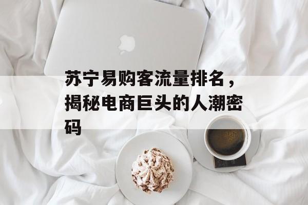 苏宁易购客流量排名,揭秘电商巨头的人潮密码 苏宁易购客流量排名,揭秘电商巨头的人潮密码