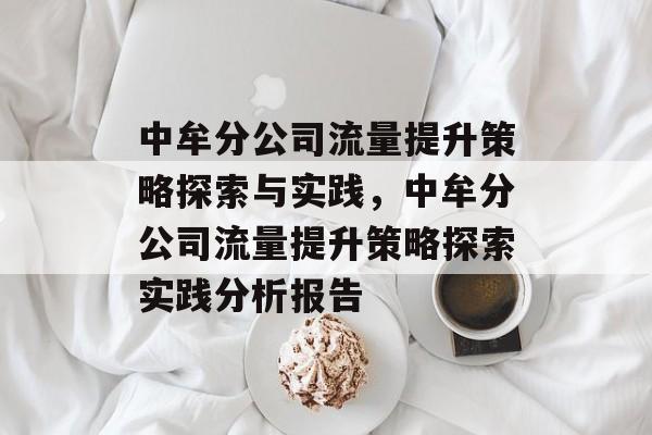 中牟分公司流量提升策略探索与实践,中牟分公司流量提升策略探索实践分析报告 中牟分公司流量提升策略探索与实践,中牟分公司流量提升策略探索实践分析报告