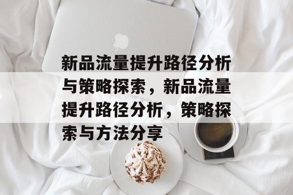 新品流量提升路径分析与策略探索,新品流量提升路径分析,策略探索与方法分享 新品流量提升路径分析与策略探索,新品流量提升路径分析,策略探索与方法分享