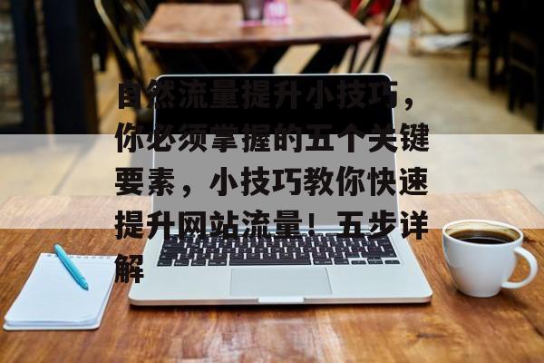 自然流量提升小技巧,你必须掌握的五个关键要素,小技巧教你快速提升网站流量!五步详解 自然流量提升小技巧,你必须掌握的五个关键要素,小技巧教你快速提升网站流量!五步详解