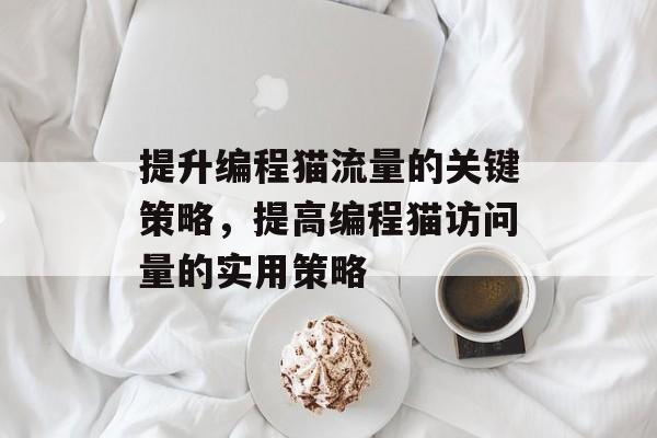 提升编程猫流量的关键策略,提高编程猫访问量的实用策略 提升编程猫流量的关键策略,提高编程猫访问量的实用策略