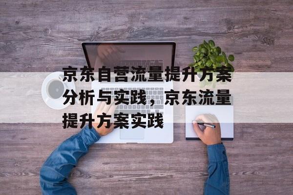 京东自营流量提升方案分析与实践,京东流量提升方案实践 京东自营流量提升方案分析与实践,京东流量提升方案实践