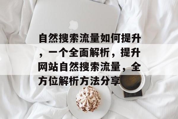 自然搜索流量如何提升,一个全面解析,提升网站自然搜索流量,全方位解析方法分享 自然搜索流量如何提升,一个全面解析,提升网站自然搜索流量,全方位解析方法分享