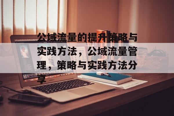 公域流量的提升策略与实践方法,公域流量管理,策略与实践方法分享 公域流量的提升策略与实践方法,公域流量管理,策略与实践方法分享