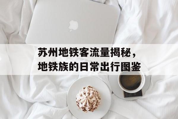 苏州地铁客流量揭秘，地铁族的日常出行图鉴