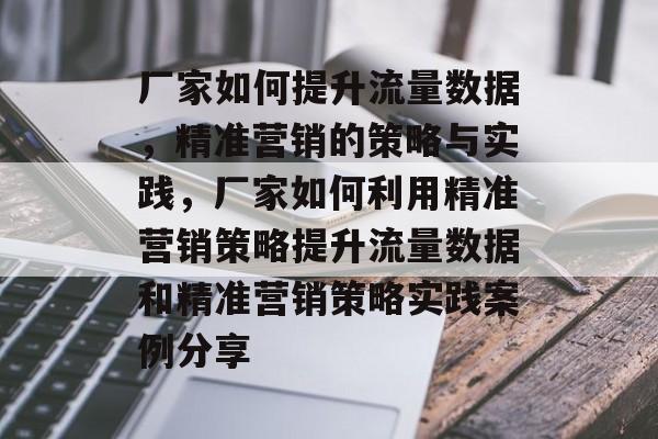 厂家如何提升流量数据,精准营销的策略与实践,厂家如何利用精准营销策略提升流量数据和精准营销策略实践案例分享 厂家如何提升流量数据,精准营销的策略与实践,厂家如何利用精准营销策略提升流量数据和精准营销策略实践案例分享