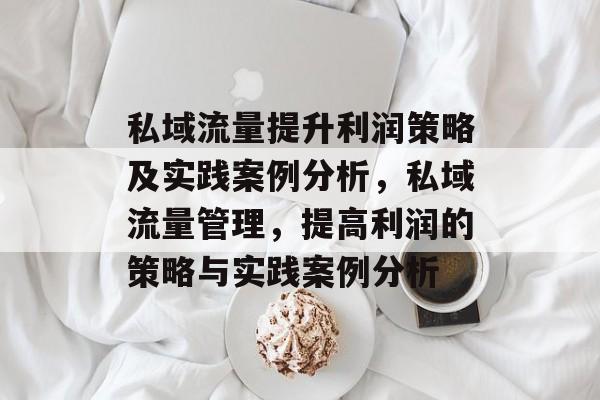 私域流量提升利润策略及实践案例分析,私域流量管理,提高利润的策略与实践案例分析 私域流量提升利润策略及实践案例分析,私域流量管理,提高利润的策略与实践案例分析