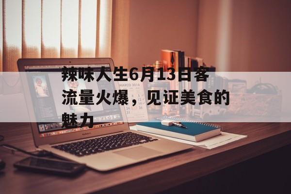 辣味人生6月13日客流量火爆,见证美食的魅力 辣味人生6月13日客流量火爆,见证美食的魅力