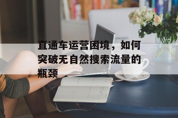 直通车运营困境，如何突破无自然搜索流量的瓶颈