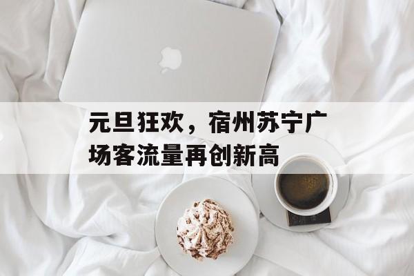 元旦狂欢,宿州苏宁广场客流量再创新高 元旦狂欢,宿州苏宁广场客流量再创新高