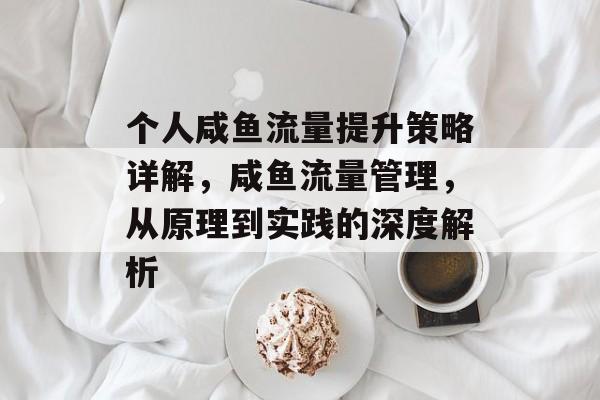 个人咸鱼流量提升策略详解,咸鱼流量管理,从原理到实践的深度解析 个人咸鱼流量提升策略详解,咸鱼流量管理,从原理到实践的深度解析