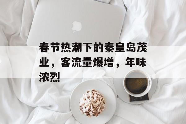 春节热潮下的秦皇岛茂业,客流量爆增,年味浓烈 春节热潮下的秦皇岛茂业,客流量爆增,年味浓烈