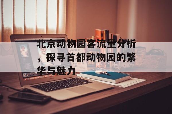 北京动物园客流量分析,探寻首都动物园的繁华与魅力 北京动物园客流量分析,探寻首都动物园的繁华与魅力