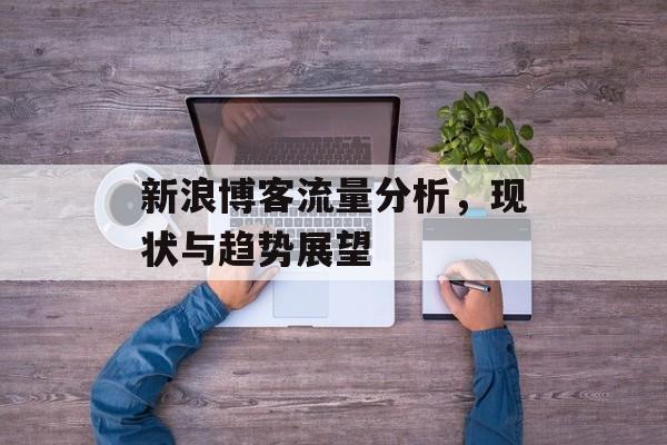 新浪博客流量分析,现状与趋势展望 新浪博客流量分析,现状与趋势展望